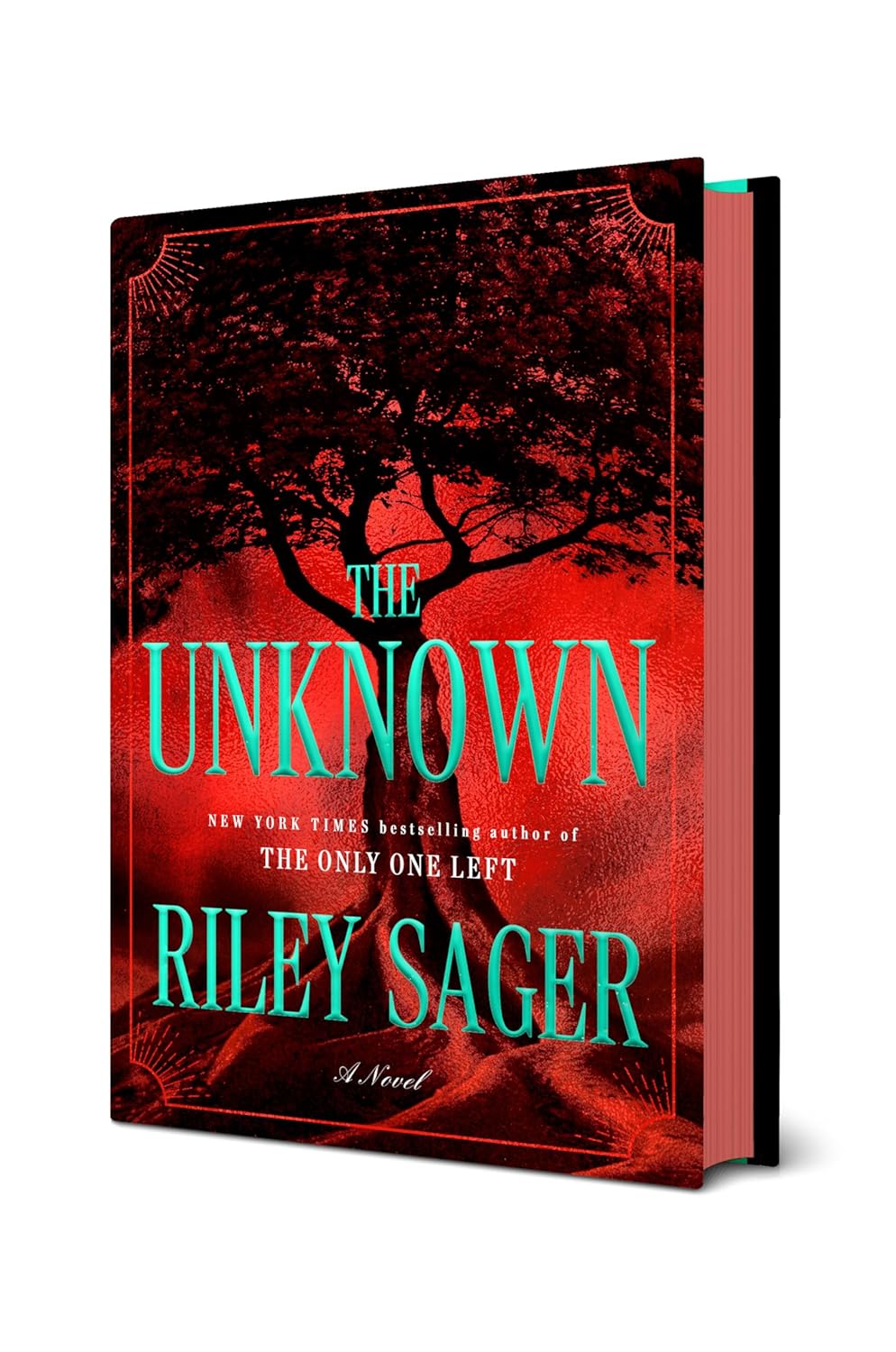 The Unknown by Riley Sager