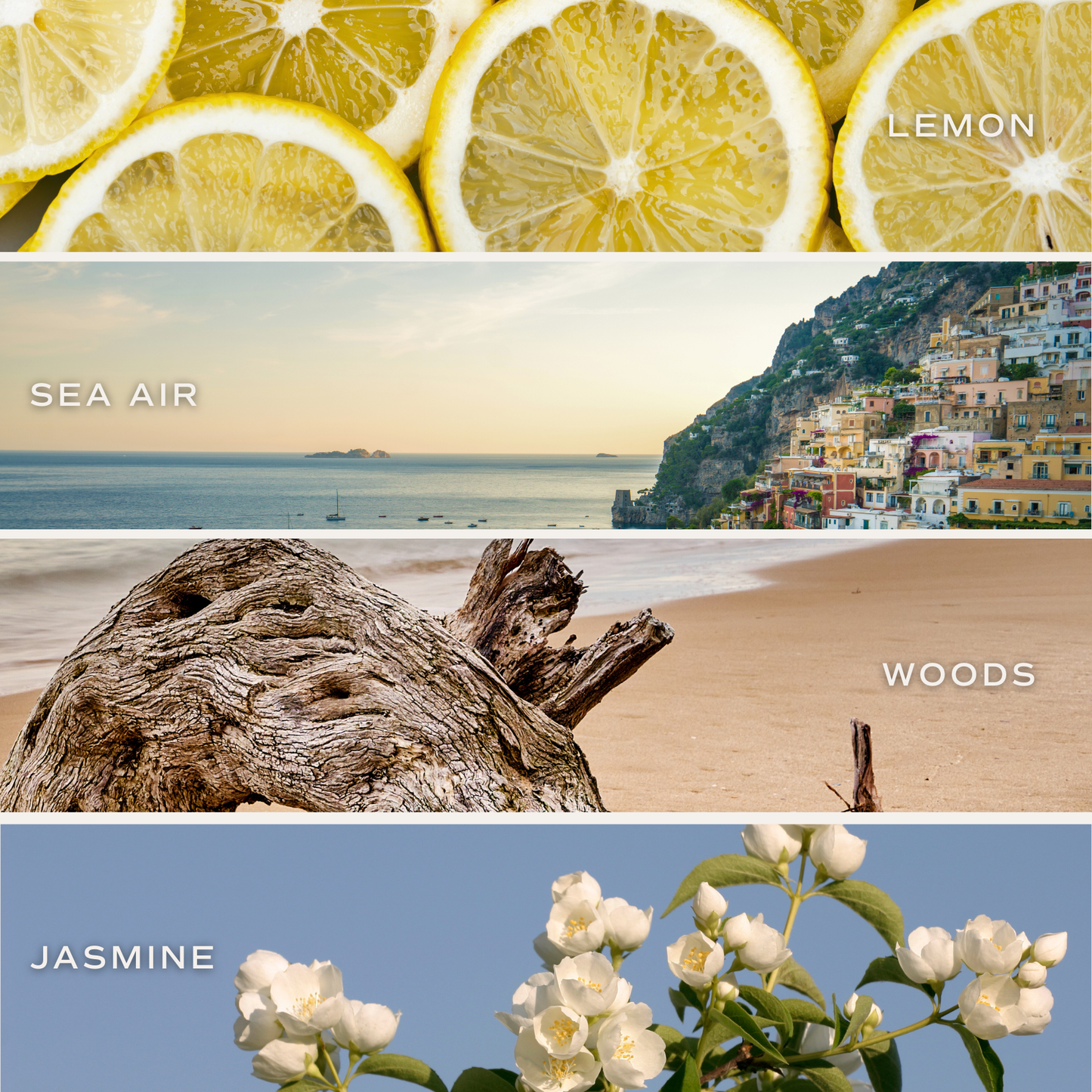 Coastal Lemon 9 oz Soy Candle