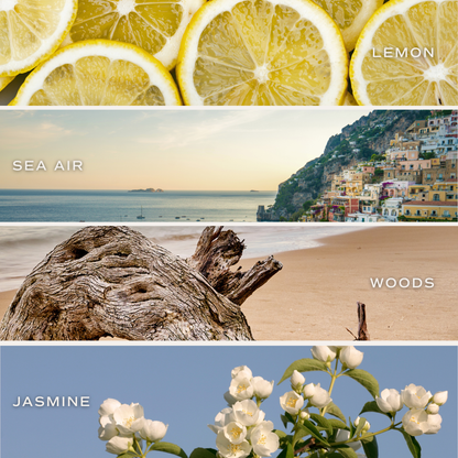 Coastal Lemon 9 oz Soy Candle