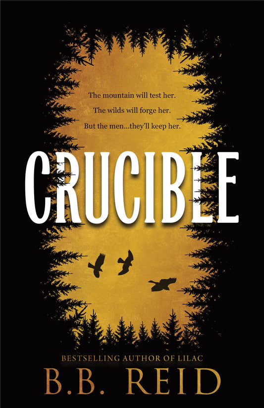 Crucible by B.B. Reid