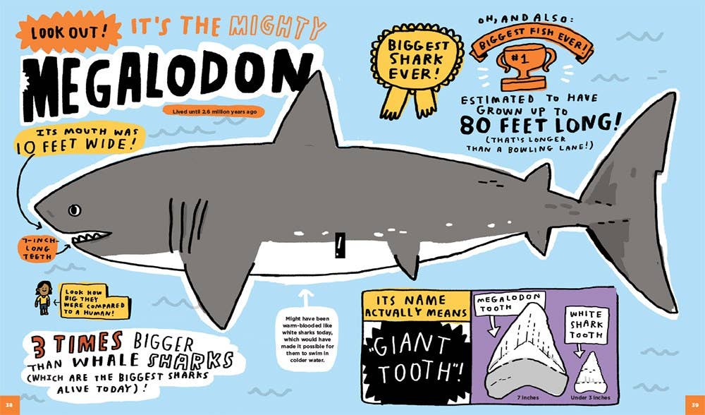 Everything Awesome About Sharks And Other Underwater Creatures