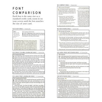 CSB Notetaking Bible: Rosedal Theme