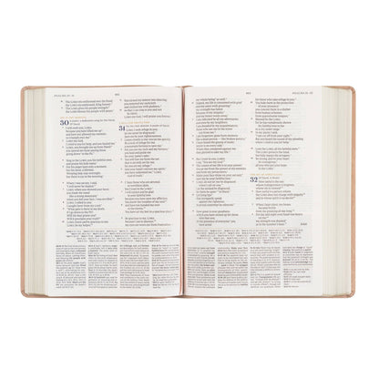 CSB Women's Study Bible: Sonora Theme
