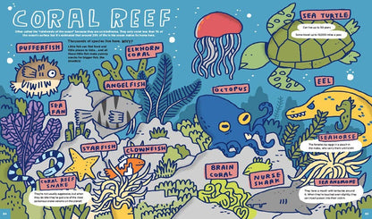 Everything Awesome About Sharks And Other Underwater Creatures