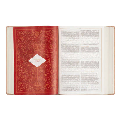 CSB Women's Study Bible: Sonora Theme