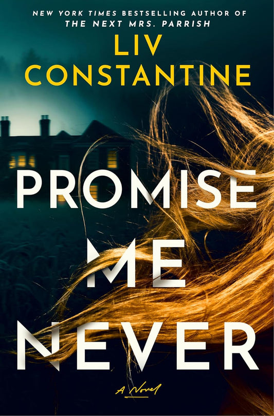 Promise Me Never by Liv Constantive