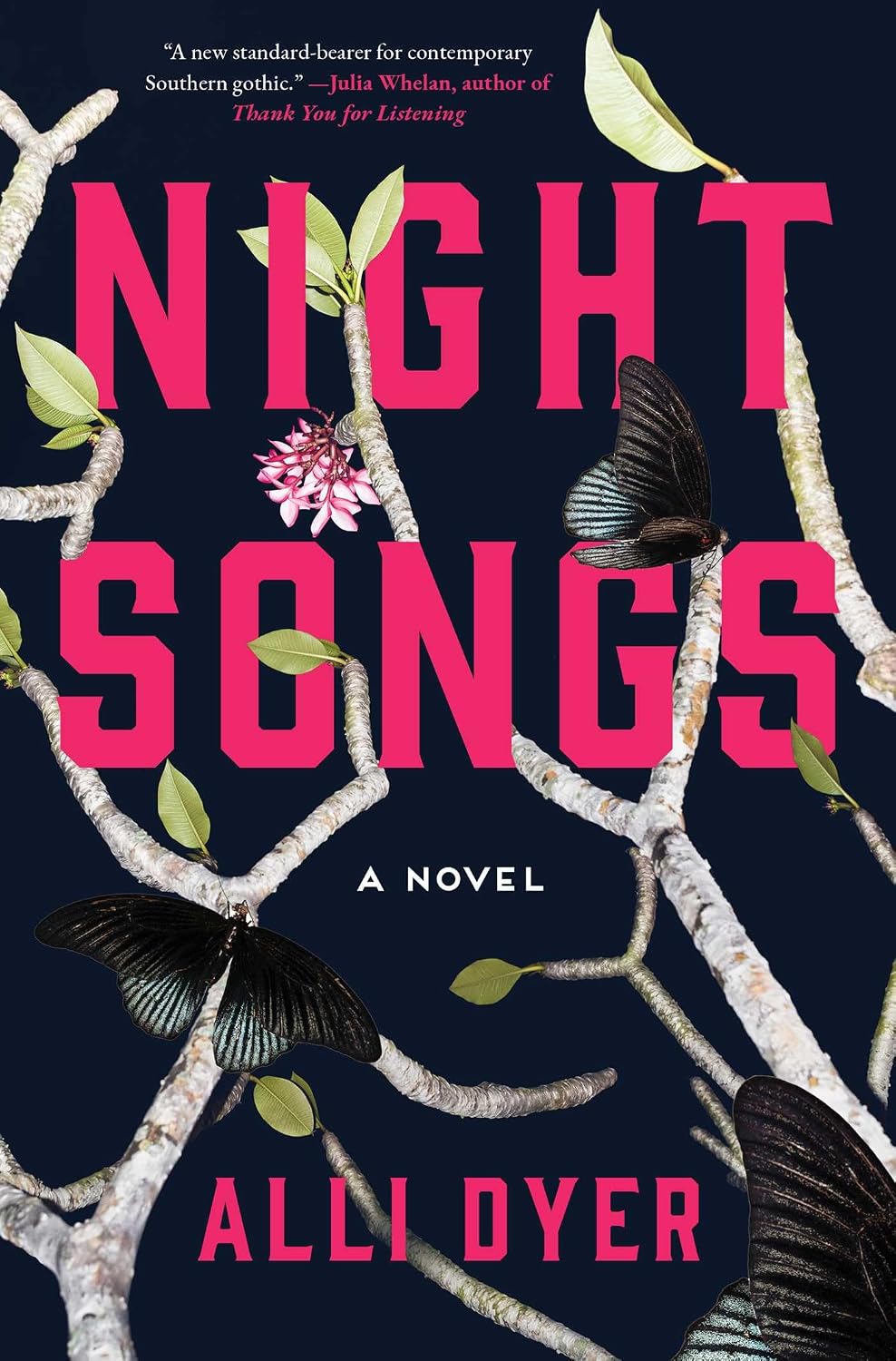 Night Songs by Allie Dyer