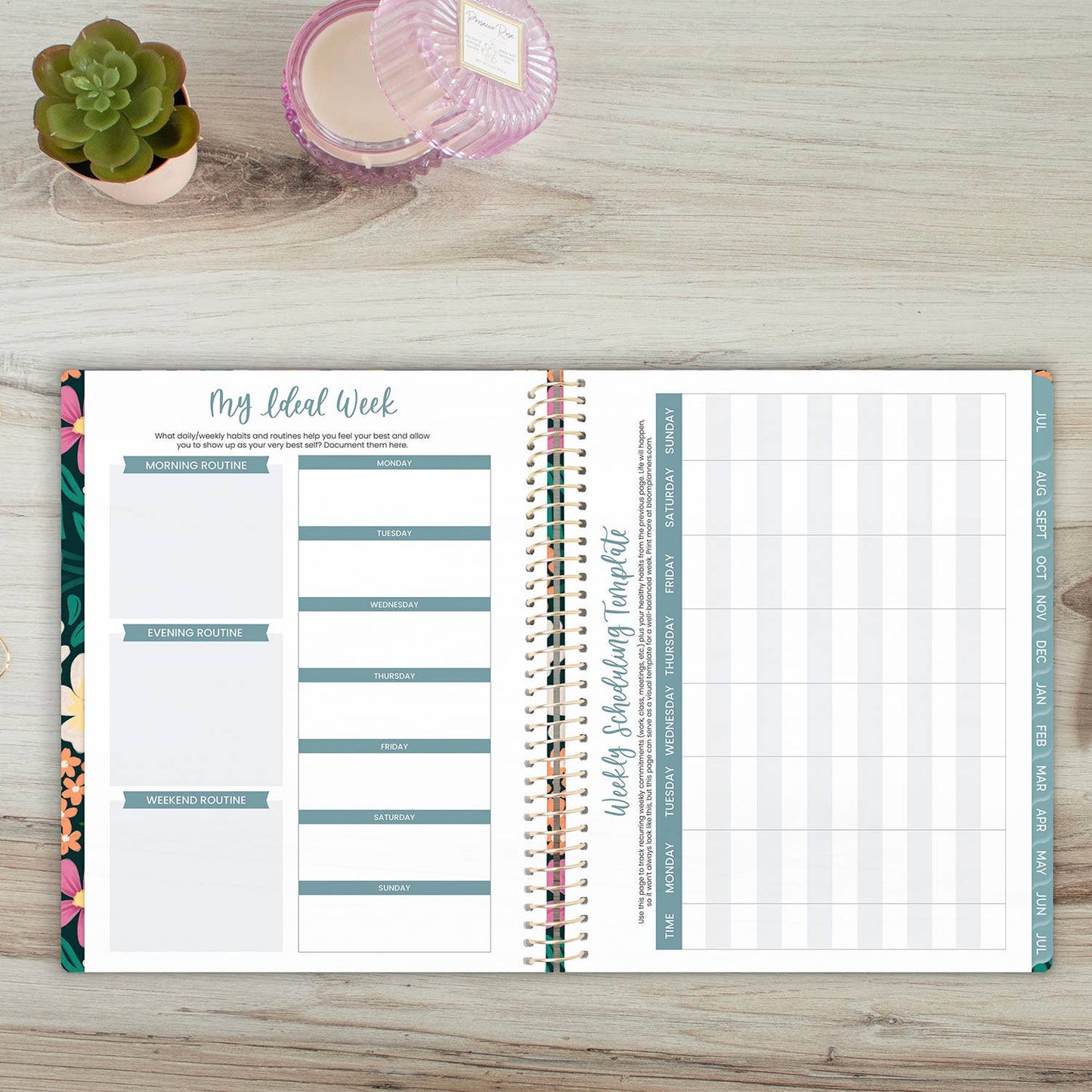 2026-27 Soft Cover Academic Planner, 8.5x11 Size: Midnight Sky