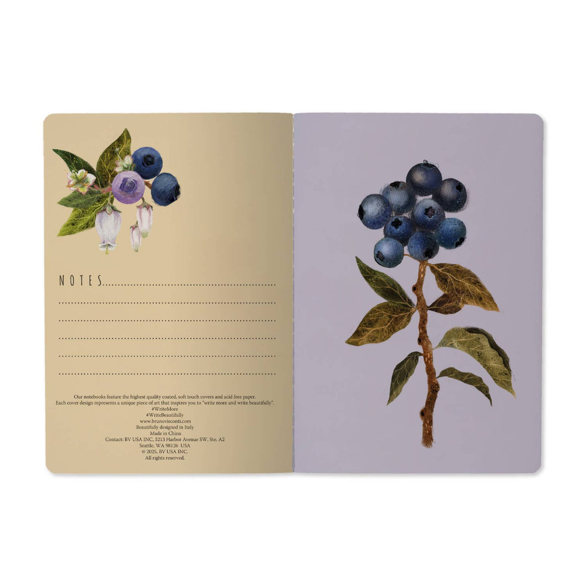 A5 Notebook - Wild Blueberry
